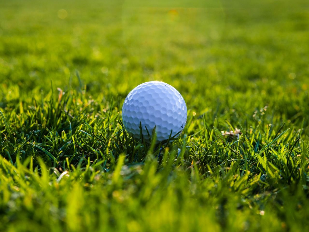 Mastering the First Impression: Your intriguing post title goes here A detailed view of a golf ball resting on green grass, perfect for sports imagery.